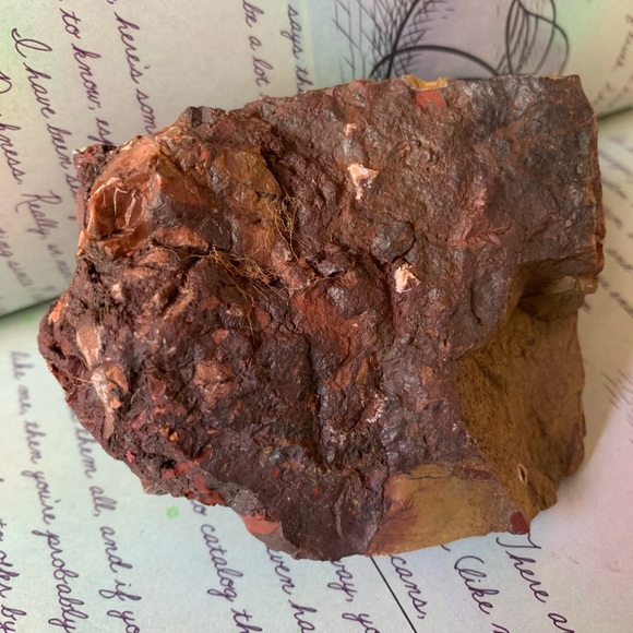 Beautiful piece of Petrified Redwood tree mineral stone display specimen - Picture 8 of 11
